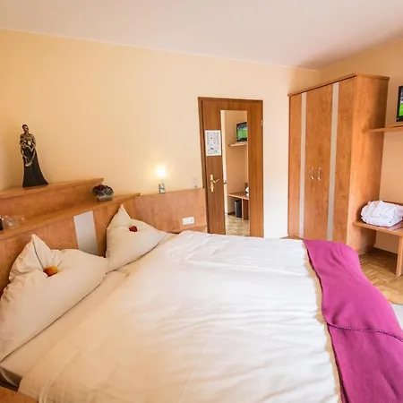 Waldhotel Felschbachhof 4*