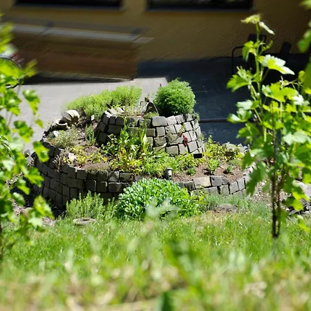 Отель Waldhotel Felschbachhof