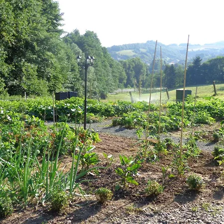 Waldhotel Felschbachhof Szálloda 4*