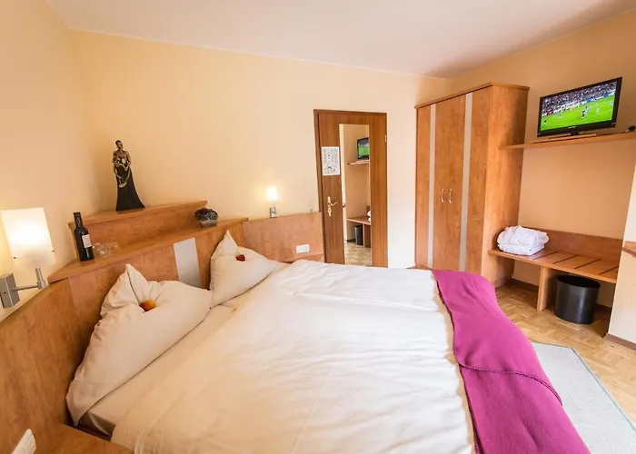 Waldhotel Felschbachhof 4*