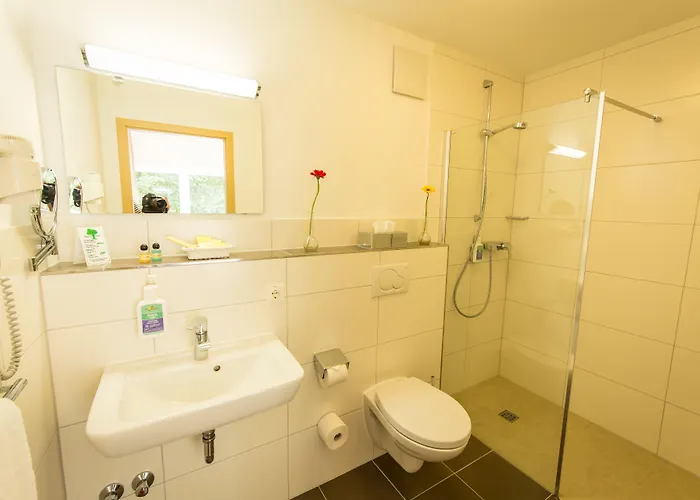 Waldhotel Felschbachhof Hotel Ulmet