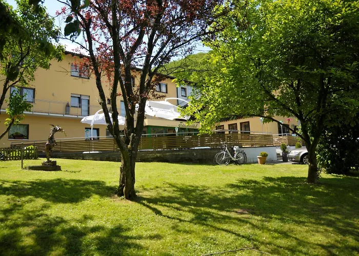 Waldhotel Felschbachhof Hotel 4*