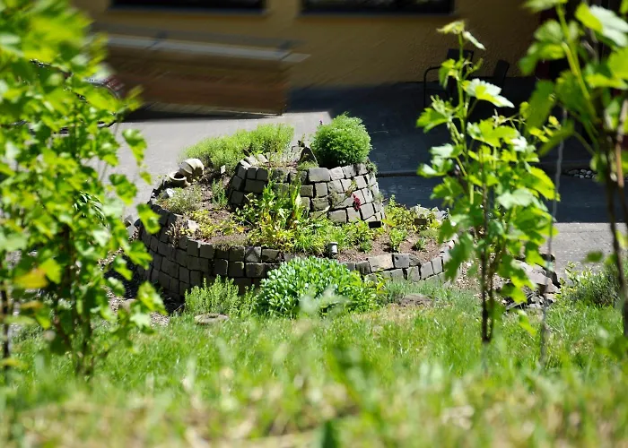 호텔 Waldhotel Felschbachhof