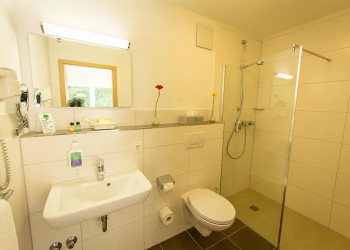 Waldhotel Felschbachhof 4*