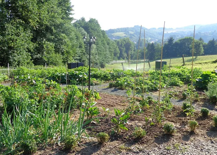 Waldhotel Felschbachhof 호텔 4*